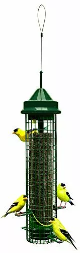 Brome Squirrel Buster Finch Squirrel Proof 1016 Bird Feeder