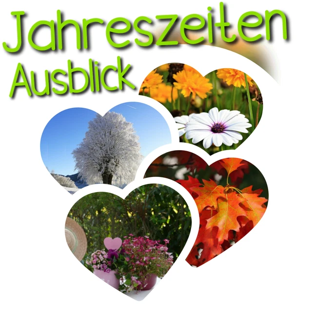 Jahreszeiten Ausblick ▪︎Auswahl▪︎Kompetent & lösungsorientiert ✔Kartenlegen