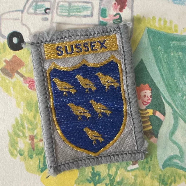 Vintage Scout Badge Patch SUSSEX County District Scouts Embroidered Sew On Badge