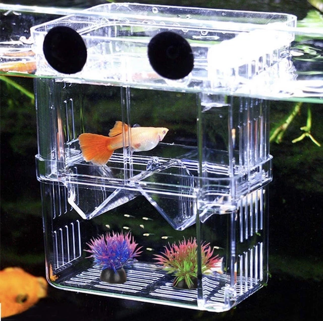 Fish Breeding Box Incubator for Tank Isolation Aquarium Multifunctional