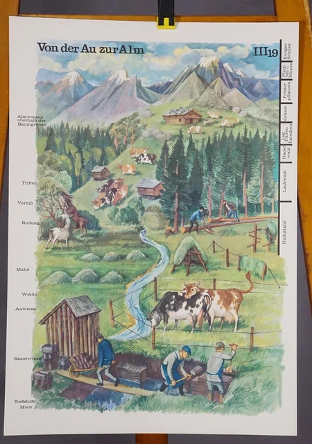 POSTER LEHRTAFEL PLAKAT Schulwandkarte Landwirtschaft von der Au zur ...