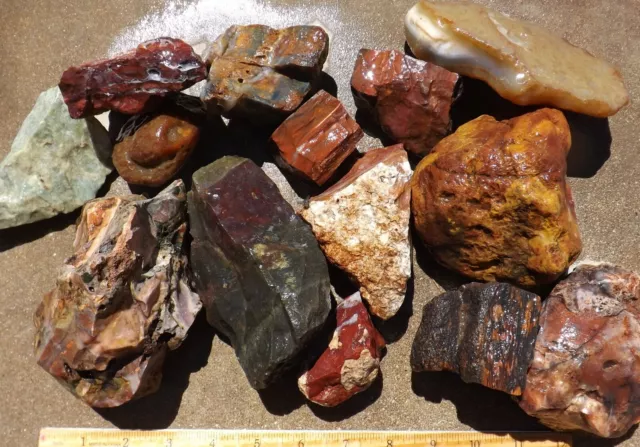 20# Batch MIXED LAPIDARY Rough *Jasper Agate Petrified Wood +Unknowns
