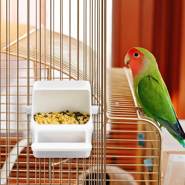 2 Pcs Food Box Parakeet Water Dispenser Cage Parrot Feeder Birdcage Hanging
