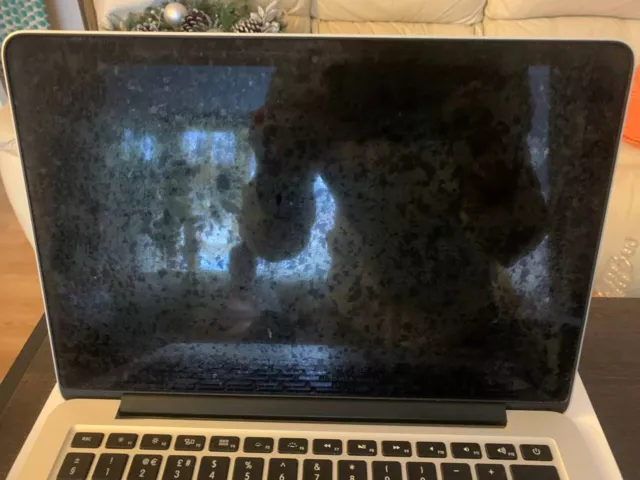 Apple MacBook Pro 13,3" (128 GB SSD, Intel Core i5 5a gen., 2,7 GHz, 8 GB RAM) 5