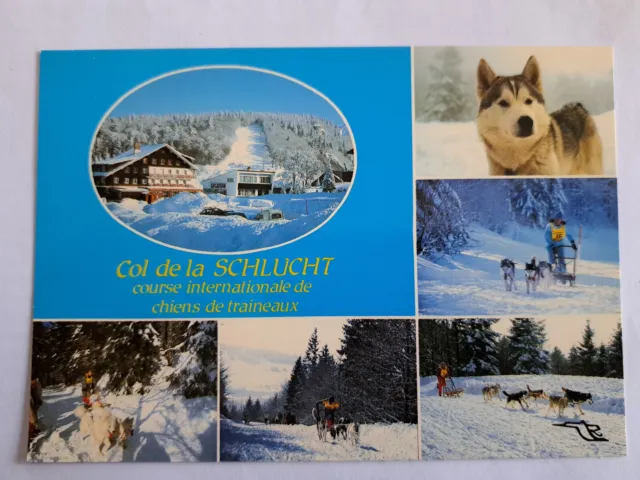 CPM les Vosges sous la neige le COL de la SCHLUCHT chiens de traineaux  dept-88