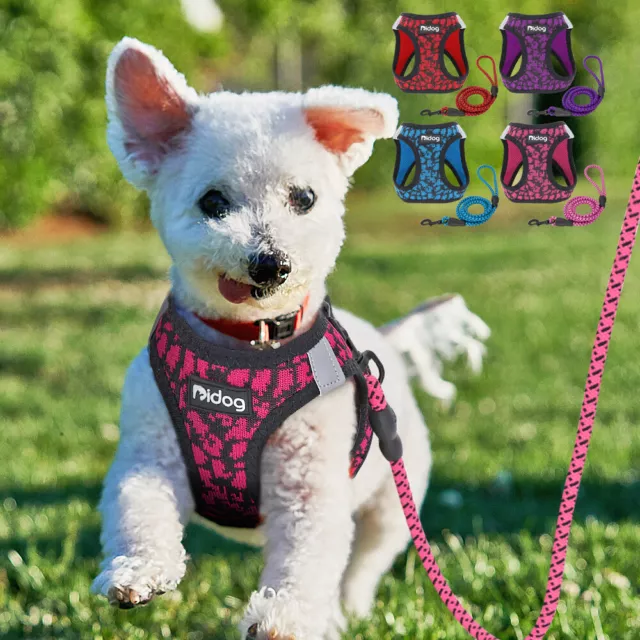 Reflective Dog Harness and Leash Set Soft Mesh Padded Pet Cat Puppy Vest Yorkie