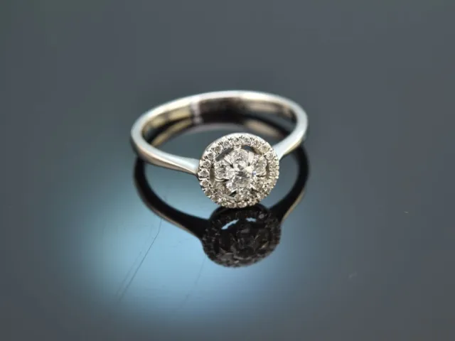 Zeitloser Diamant Verlobungs Ring Aus Weiss Gold 750 Classic Engagement Ring