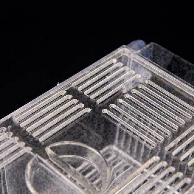 Aquarium Fish Tank Guppy Double Breeding Breeder Rearing K9W3 X6K0 L6C0 T2V HOT. 6