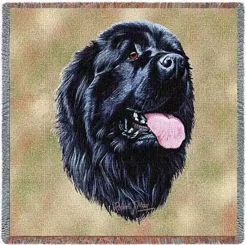 Lap Square Blanket - Newfoundland by Robert May 1155 IN STOCK