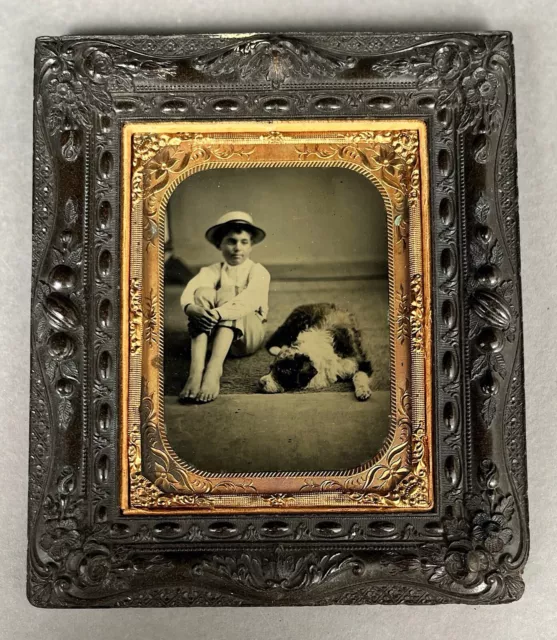 1/4 Plate Tintype Of Barefoot Boy + His Dog, In Fancy Thermoplastic Wall Frame