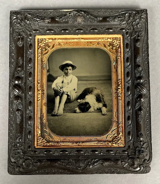 1/4 Plate Tintype Of Barefoot Boy + His Dog, In Fancy Thermoplastic Wall Frame
