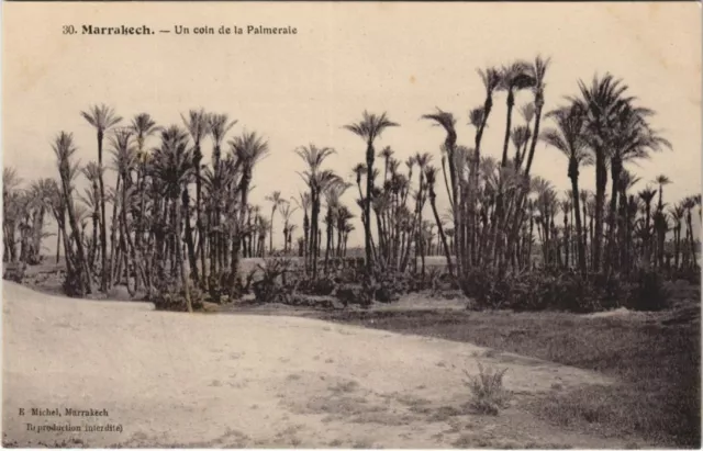 CPA AK Marrakech - Marrakesh - A Corner of the Palm Grove MOROC (1082821)
