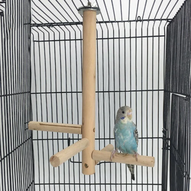 Papagei Budgie Vogelkäfig Treppensteigen Spielzeug Natur Holzzweig Barsch Stick