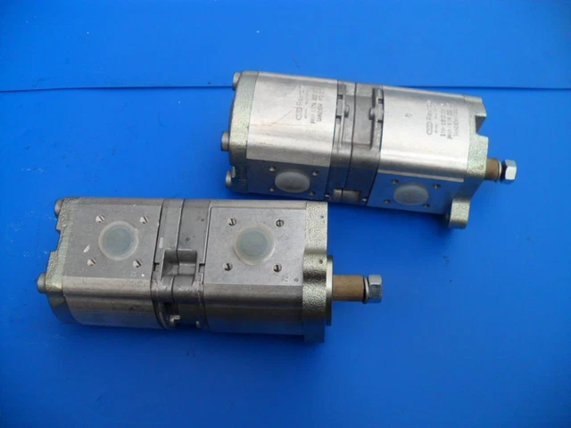 Pompa Idraulica Rexroth 0510665496 /#8 D1Ar 6448