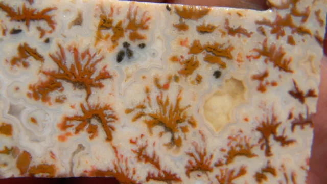 Rare Wingate Pass Plume Agate Slab Slice Lapidry Rough