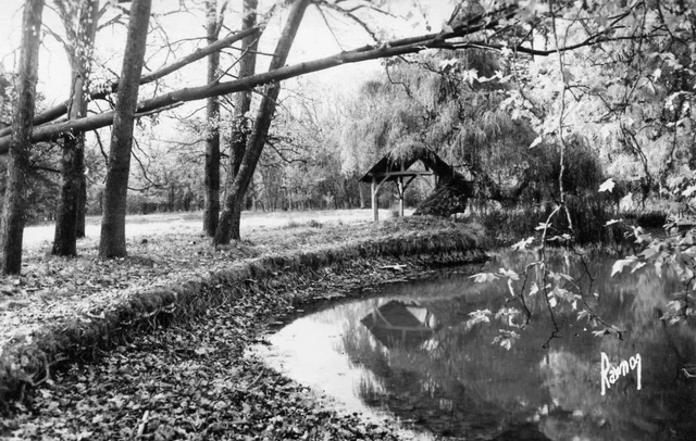 Carte BRUNOY Coin charmant au bord de l'Yèrres L'arbre est tombé couché