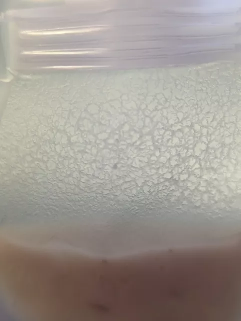 Microworm  Culture  Live Food for Fry,  Fish, Guppy, Betta  Fresh