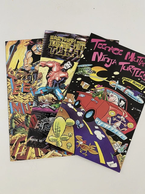 MIRAGE  teenage mutant ninja turtles - LOT OF 10 COMICS - See List 4