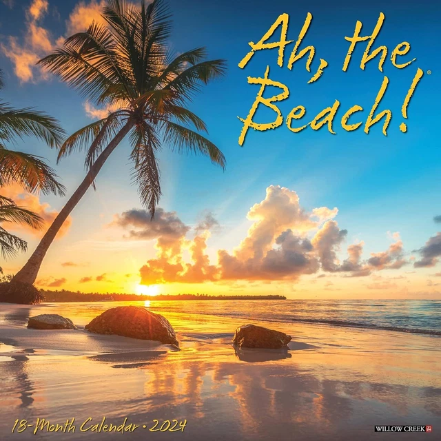 AH, THE BEACH 2024 Calendrier Mural Tout Neuf 31995 EUR 18,95