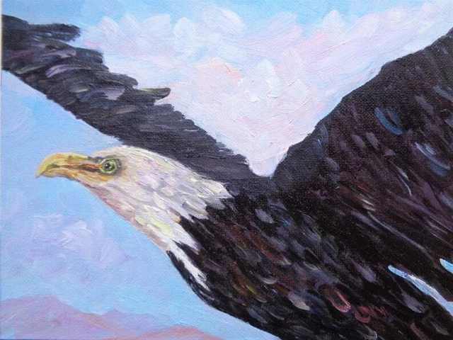 ORIGINAL OIL PAINTING Bald Eagle Great Bird of Prey 6x5 inch £25.66 ...