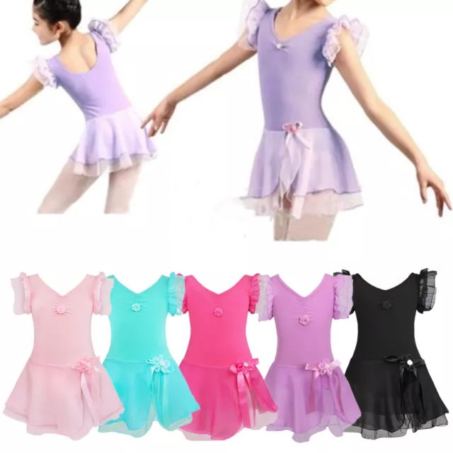HIPPOSEUS Niña Maillot de Danza Tutú Vestido de Ballet Gimnasia Leotardo  Body Clásico para Niñas Body Traje de Baile,Y04-Azul,2-3 Años : :  Moda