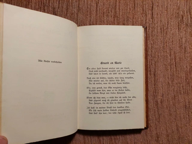 Paul Heyse DER SALAMANDER Tagebuch TERZINEN Schöner LEDER HANDEINBAND Unikat 10