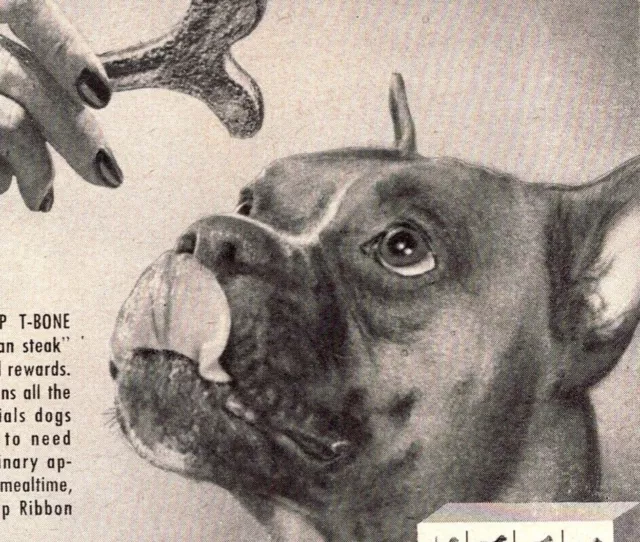 PRINT AD 1955 Boxer Gro-Pup T-Bone Protective Biscuit Dog Treats Kellogg Vintage