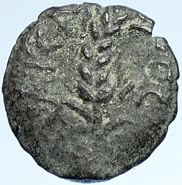 COPONIUS Prefect of Roman JERUSALEM under Augustus 6AD OLD BIBLICAL Coin i107369