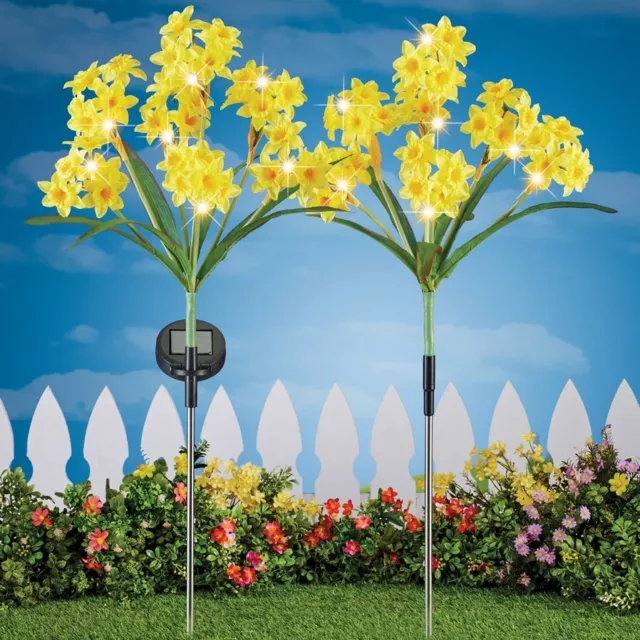 Set Mit 2 Solar LED Beleuchtet Daffodil Dekorativ Garten Stäbe