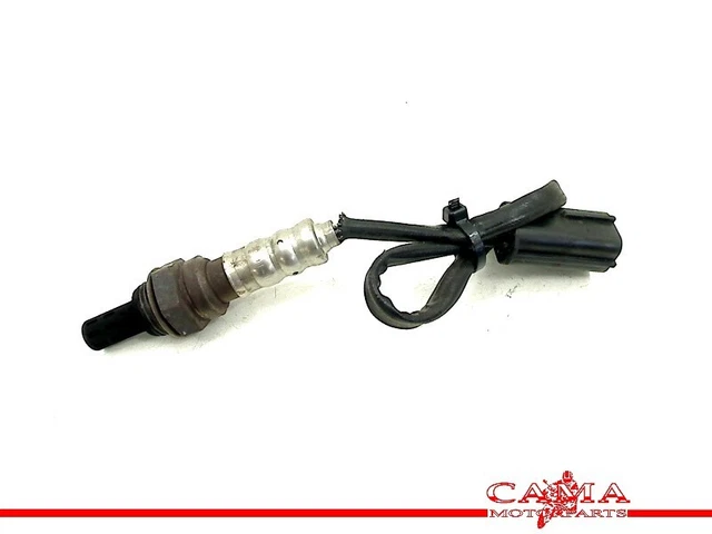 SENSORE LAMBDA Ducati Monster 696 2008-2013 (M696) 2008 #13767