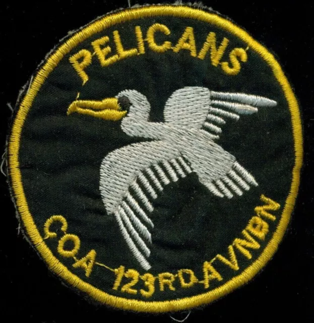 US Army A Company 123rd Aviation BN Pelicans Vietnam Patch DC-1