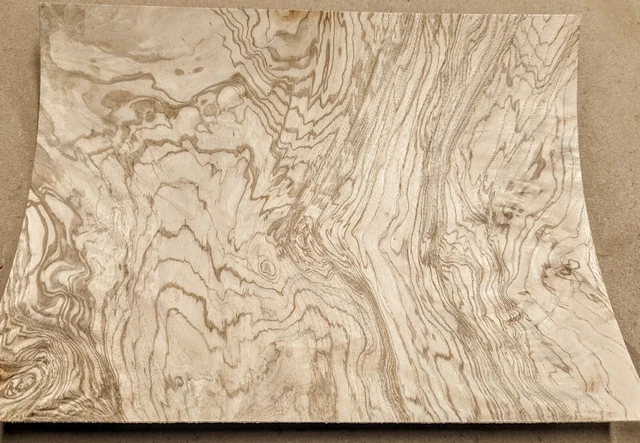 Olive Ash Burl real wood veneer 12" x 9" with paper backer AA grade 1/40" thick