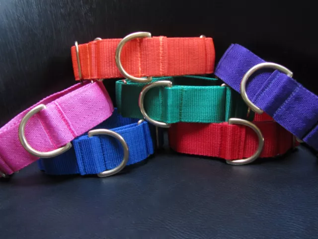 Boomerjacks collars and leads shop for dogs