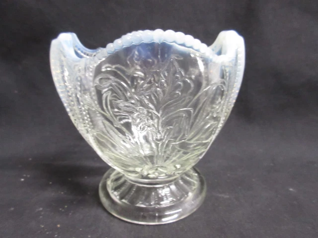 EAPG Northwood 1903 White Opalescent Wild Bouquet Pressed Open Sugar Bowl, MINT