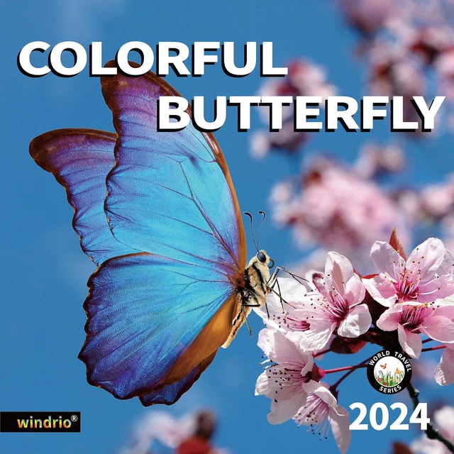 2024 WALL CALENDAR,CALENDAR 2024, November 2023 December 2024, Wall