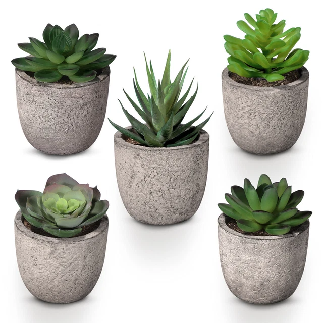 VANZACK 12 Plantes Miniatures En Pot – Résine Réaliste, Sans Entretien – Déco Pour Bureau, Maison De Poupée, Jardin