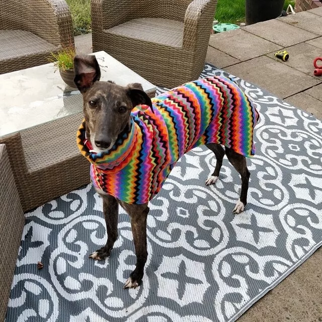 dog Snood jumper fleece house coat italian whippet lurcher zigzag 22”