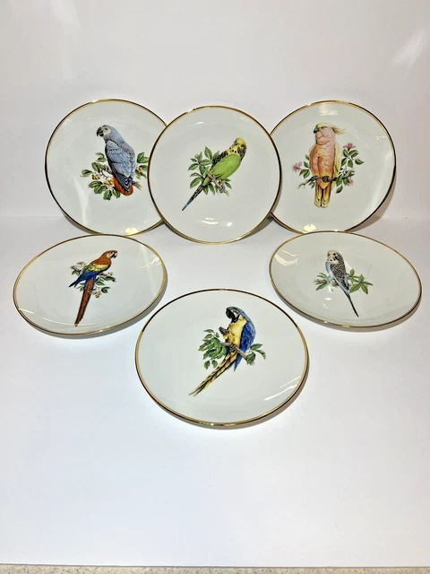 Set of 6 Bareuther Waldsassen Bavaria Germany Bird Plates-Parakeets & Parrots