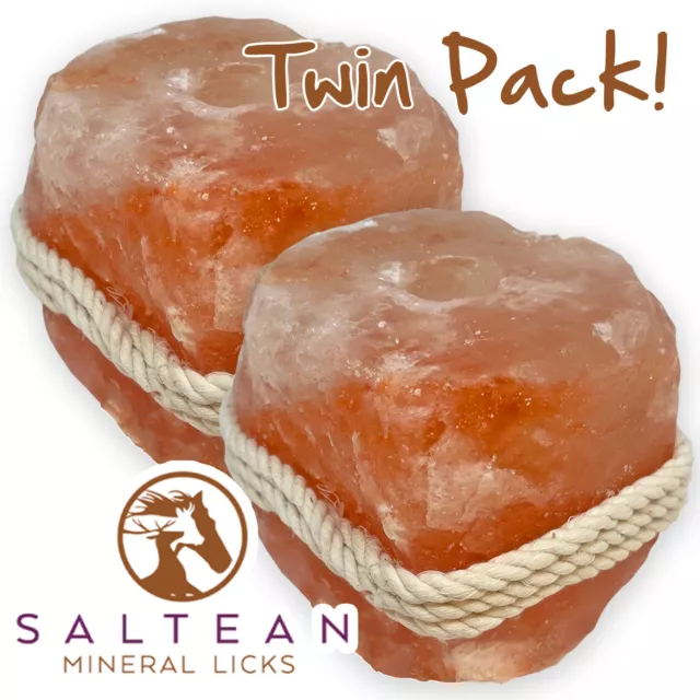 Saltean Himalayan Salt Lick for Horses 1kg with Rope | TWIN PACK! | Livestock