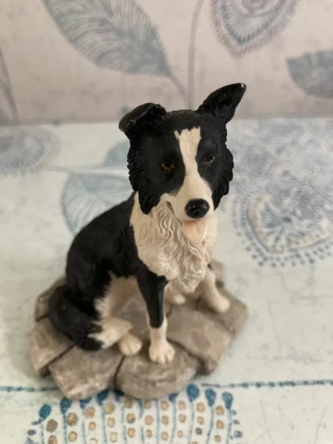 Border Fine Arts All Creatures Great And Small Jess Jh20 Border Collie Dog