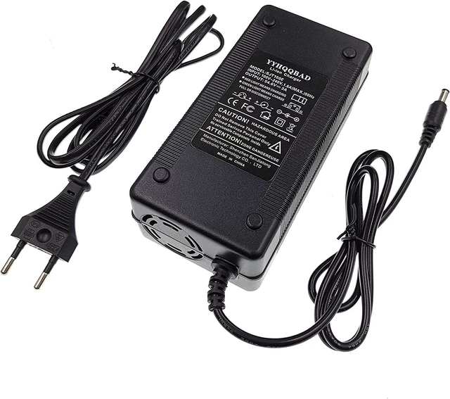 Caricabatteria Per Batteria Agli Ioni di Litio 13 S 48 V, Bici Elettrica DC5,5