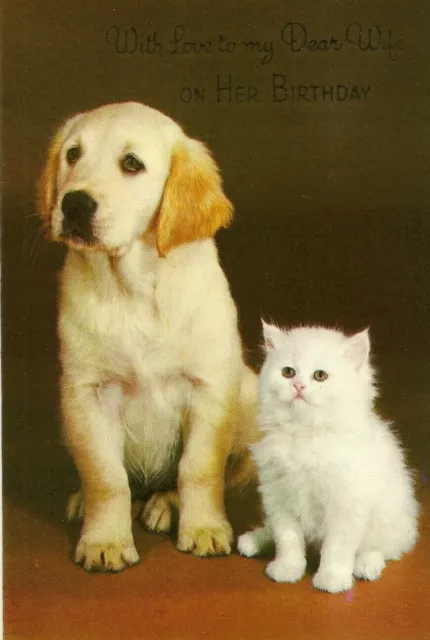 Wife Happy Birthday Vintage Greeting Card Cute 1970's Labrador Dog & Cat Kitten