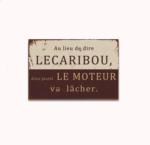 Plaque Murale métal tableau Proverbe - humour humoristique - 30 x 20 cm