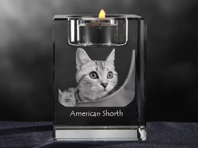 American Shorthair, Kristall-Kerzenleuchter Avec Chat, Crystal Animals