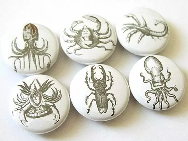 Strange Creatures fridge magnets set 6 octopus squid party favor gift pins goth