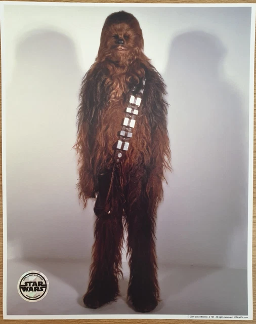 STAR WARS CHEWBACCA PETER MAYHEW OFFICIAL PIX 10x8 BLANK UNSIGNED PHOTO