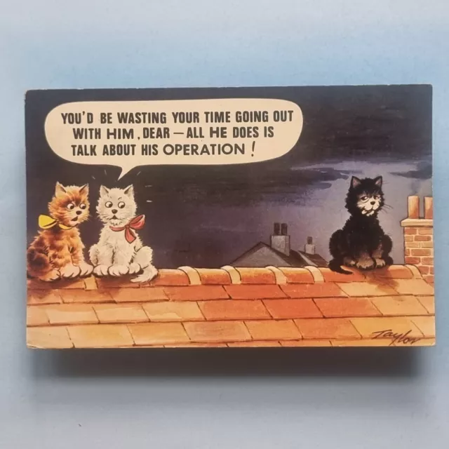 Comic Postcard 1977 Three Cats Roof Operation Waste Time Bamforth