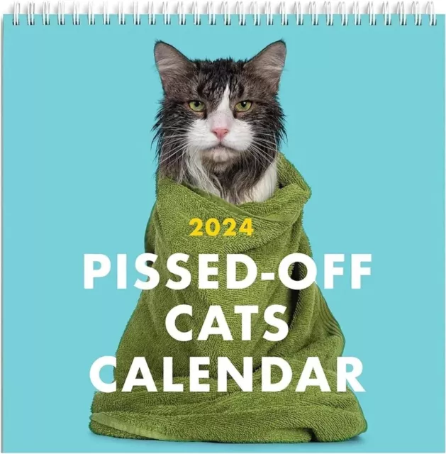 2024 Calendar Pissed-Off Cats / Funny Cat Wall Hanging Mini Calendars Planner