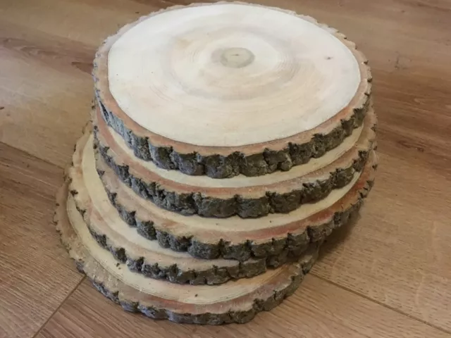 Large Wood Slices 40 - 47cm Log Slice Tree Wooden Wedding Event Kiln Dried