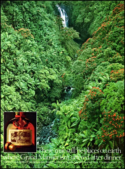 1980 Tropical Rain Forest Grand Marnier Liqueur vintage photo print Ad ads11
